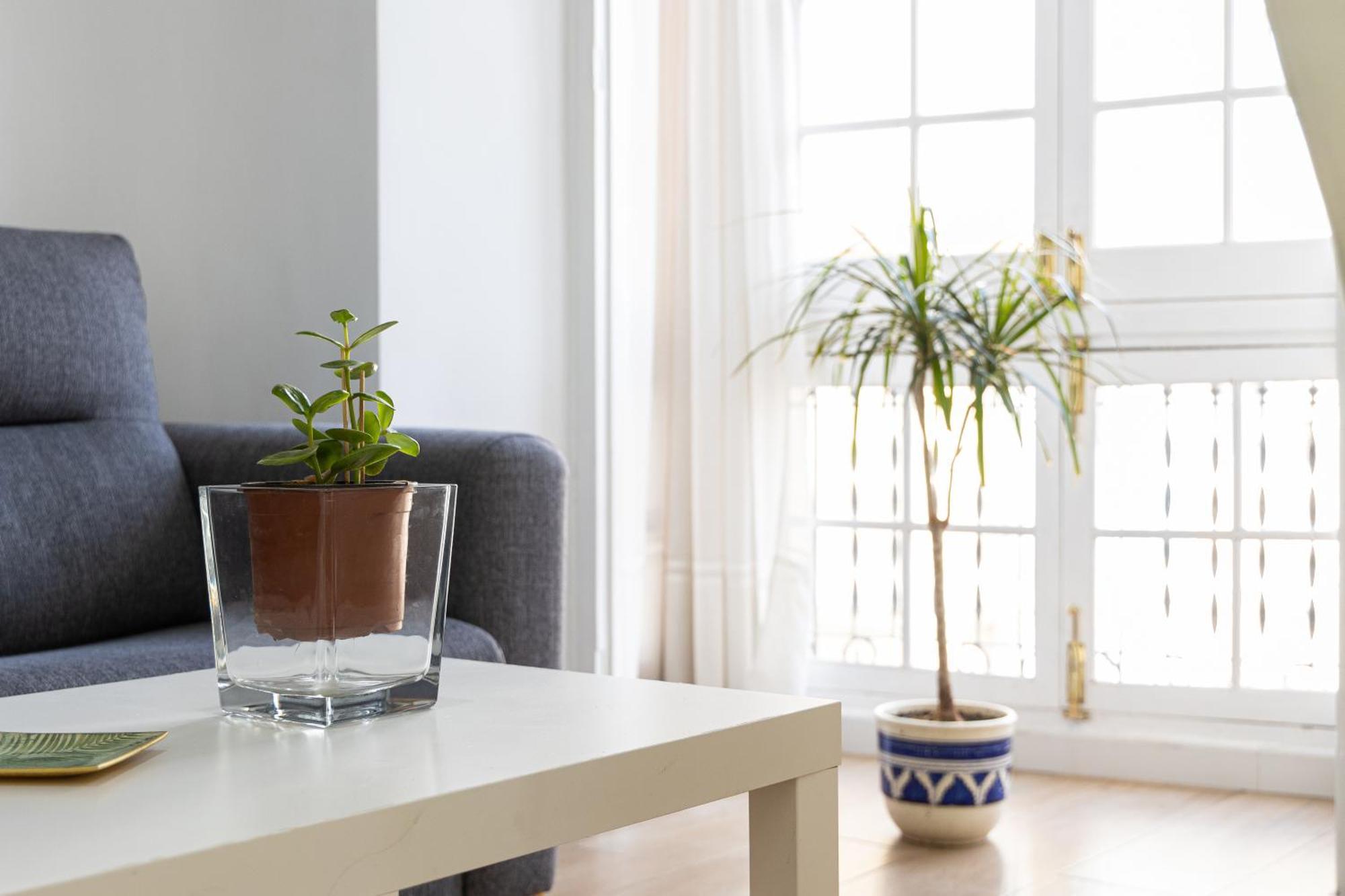 Apartamento Jacaranda Málaga Buitenkant foto